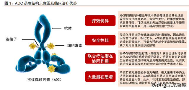 抗体偶联药物行业专题研究：群雄纷争，ADC药物领域快速发展