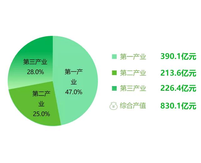 打造亚洲花卉中心，云南省花卉产业这样做