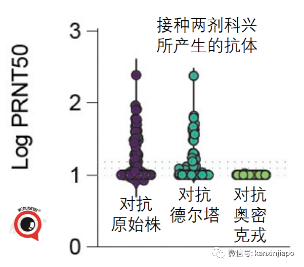 两针科兴加一针辉瑞仍无法对抗奥密克戎，第4针疫苗也快了