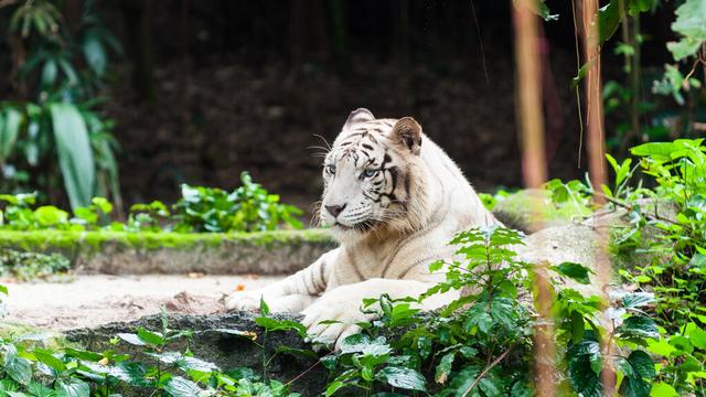 全世界60个国家的珍稀国宝