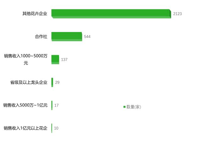 打造亚洲花卉中心，云南省花卉产业这样做