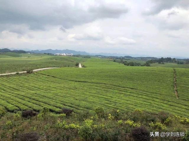 颠覆连锁的“旧观念”丨意识决定方向，思维决定行为决定结果