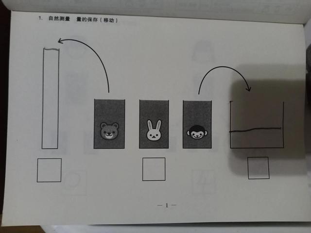 干货，麾比和百花，新加坡数学，逻辑狗对比第二波-数量