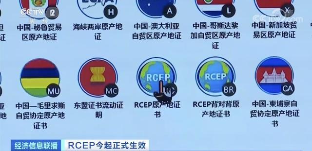 重大利好！RCEP生效实施！以后买进口汽车、护肤品、水果 便宜了