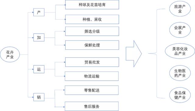 打造亚洲花卉中心，云南省花卉产业这样做