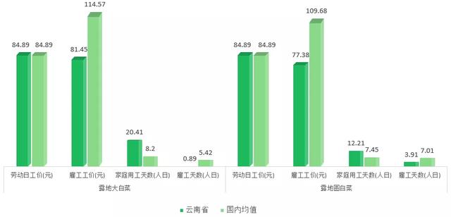 2021年云南省白菜产业品种、产量、价格及市场现状