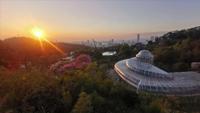 春节-免费乘坐公共交通，免费游览部分景点？配套玩乐指南来啦