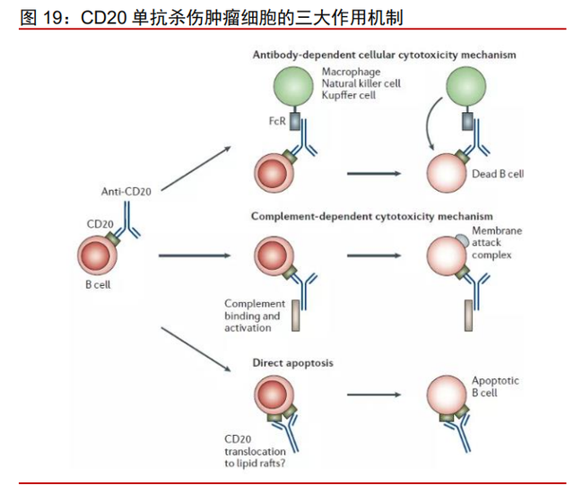 医药行业之诺诚健华分析报告：高成长的肿瘤与自免创新药企