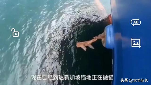 石油换粮食——伊拉克之行 第七集