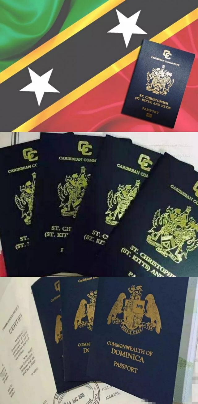 圣基茨，多米尼克，土耳其国籍优势移民英国的总评比详细分析