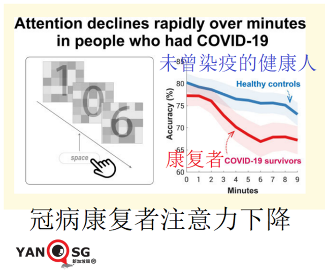 中国适时启动入境旅游；新加坡奥株病例破万；三月底全球半数人口感染奥密克戎