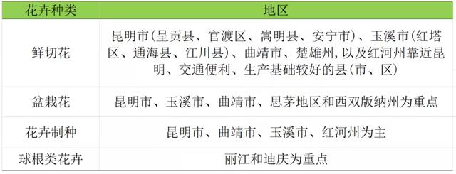 打造亚洲花卉中心，云南省花卉产业这样做