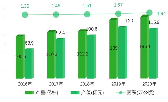 打造亚洲花卉中心，云南省花卉产业这样做