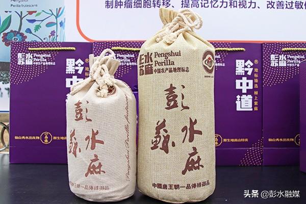 重庆彭水：科技助力紫苏产业高质量发展