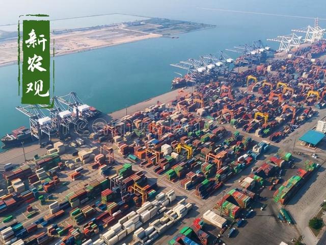 海运公司赚翻了，年终奖发了40倍工资！全球却在担忧粮价