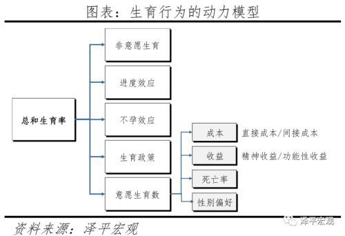 任泽平：解决低生育的办法找到了