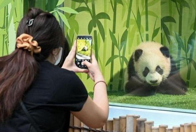 2021新加坡谁最火？热度超越总理李显龙的男人居然是他？