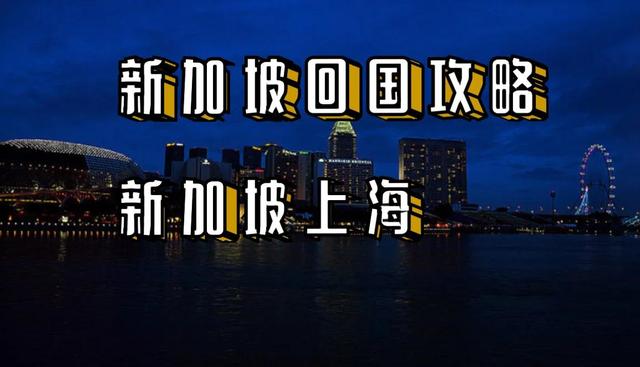 新加坡回国带宠物攻略