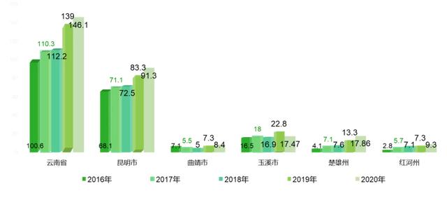 打造亚洲花卉中心，云南省花卉产业这样做