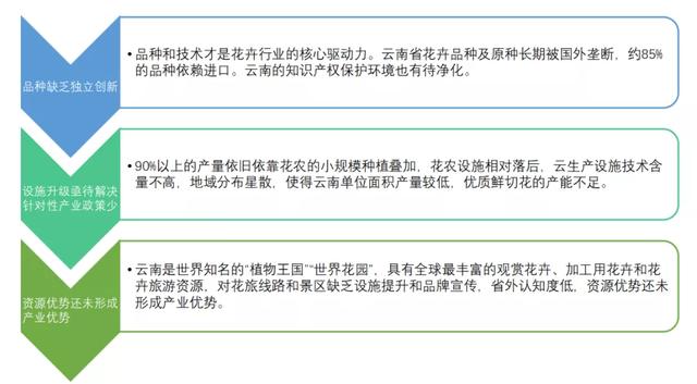 打造亚洲花卉中心，云南省花卉产业这样做