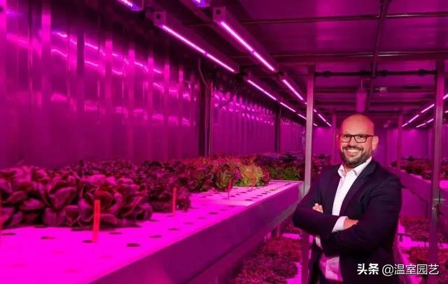 植物工厂：一个更具有优势的种植环境
