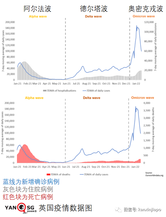 新加坡出现首个奥秘克戎死亡病例；专家称口罩可能要戴到2025年