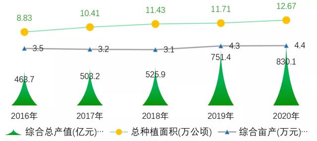 打造亚洲花卉中心，云南省花卉产业这样做