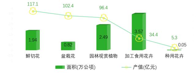 打造亚洲花卉中心，云南省花卉产业这样做