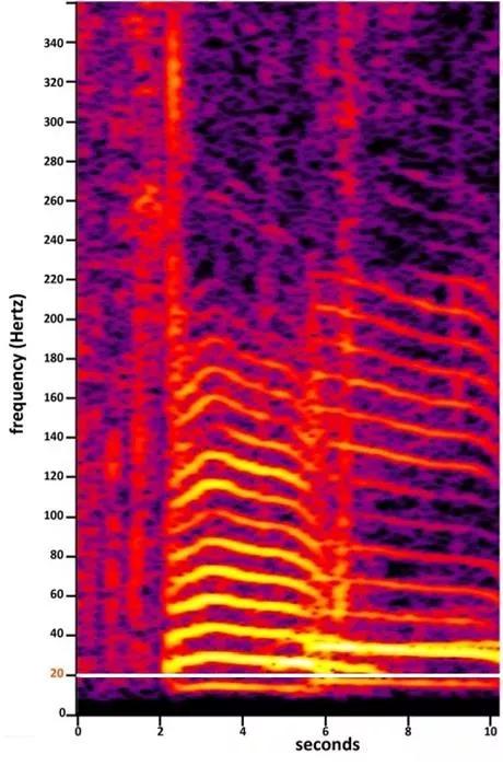 包租婆的狮吼功成为现实？——次声波的秘密