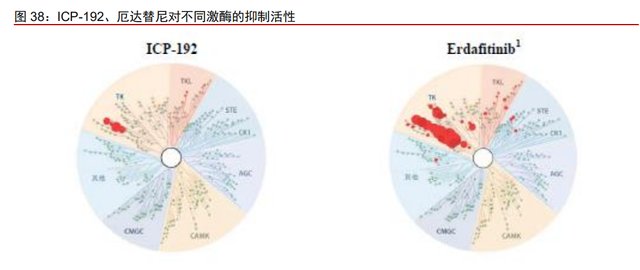 医药行业之诺诚健华分析报告：高成长的肿瘤与自免创新药企