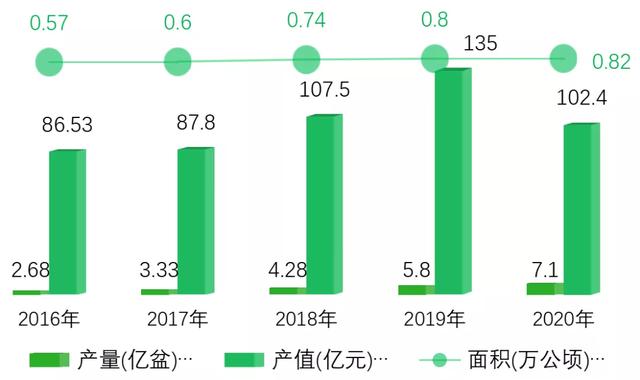 打造亚洲花卉中心，云南省花卉产业这样做