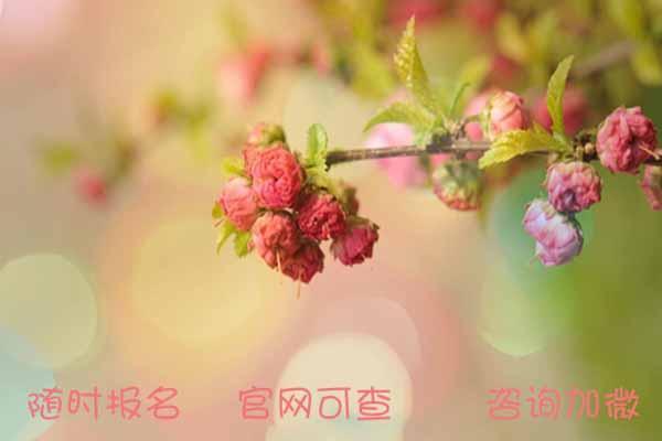 杭州市考园艺师证什么时候可以报名正规报考条件职业范围