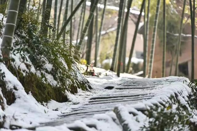 永康的雪