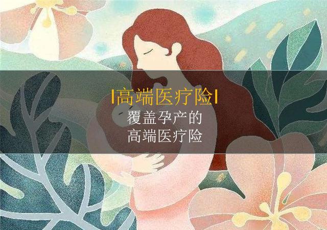 可覆盖和睦家、美中宜和孕产的高端医疗险