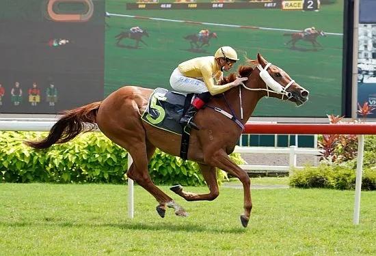 赛马邮报RacingPost：三岁马“阿坎图”新加坡赛马三连胜