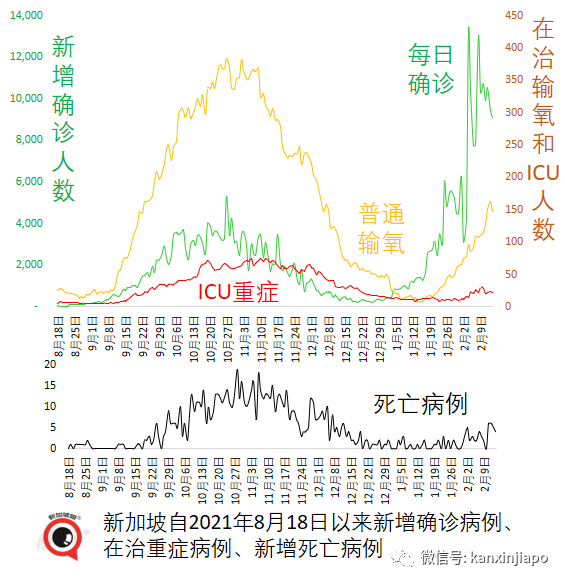 峰值过后新加坡有望进一步放开；部分青少年允许打科兴