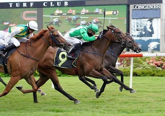 赛马邮报：“世尊”新加坡夺冠，为隔离中的练马师伯里奇送去喜报