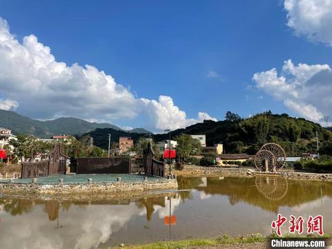 广州百年客家古村飞出凤凰鸡