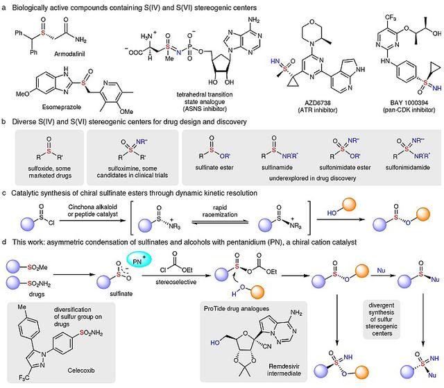 陈俊丰团队Nature：不对称缩合构建硫立体中心