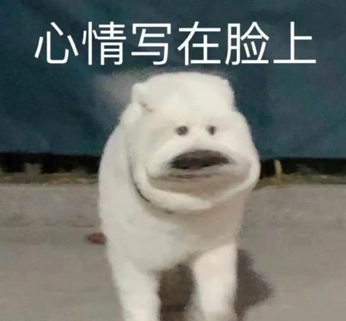 指南者留学小道消息港新发放笔面通知，NUS增设可捡漏新专业