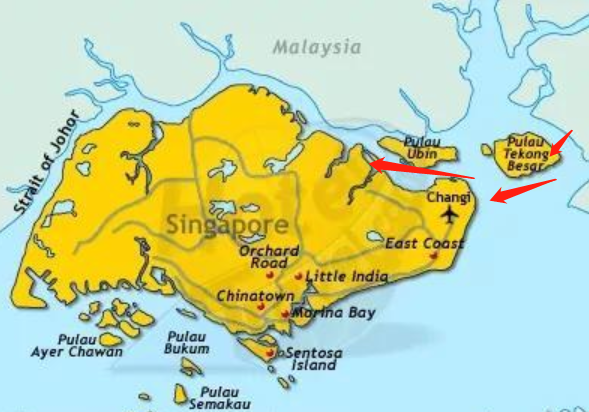 新加坡两大“黑恶势力”聚众火拼，场面惨烈！水獭为何这么凶残？
