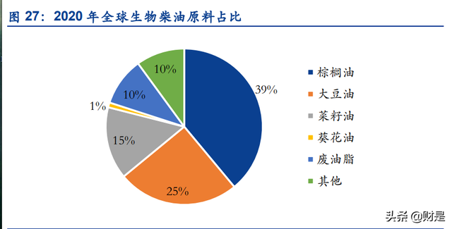 生物柴油龙头卓越新能研究报告