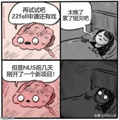 新国立二月新开22fall项目详解，想赶今年入学，还能申请哪些项目