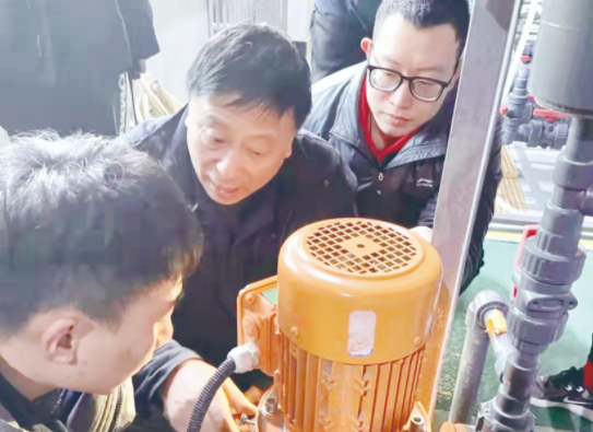 年味解乡愁 开年有奔头
