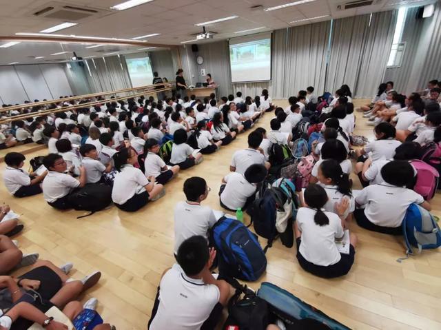 政府小学老师告诉你：新加坡名校和邻里小学到底有没有天差地别？