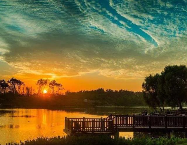 过年我的天伦之旅