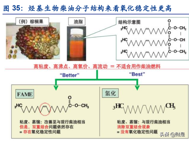 生物柴油龙头卓越新能研究报告