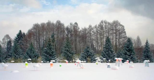 抓住冬天的尾巴，艺术家如何留住短暂冰雪的浪漫？