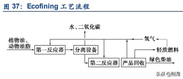 生物柴油龙头卓越新能研究报告