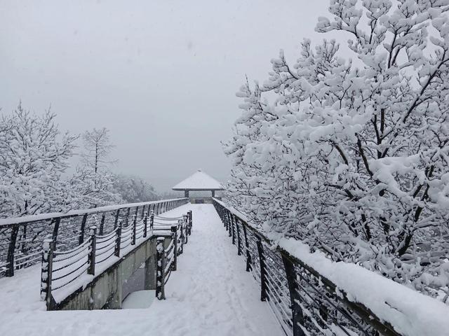 合肥新加坡花园城的雪景，大家评评怎样？